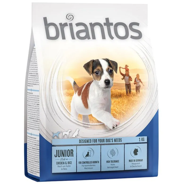 Briantos Junior