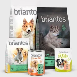 Briantos Strips kana viljaton
