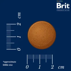 Brit Premium by Nature Adult XL kana