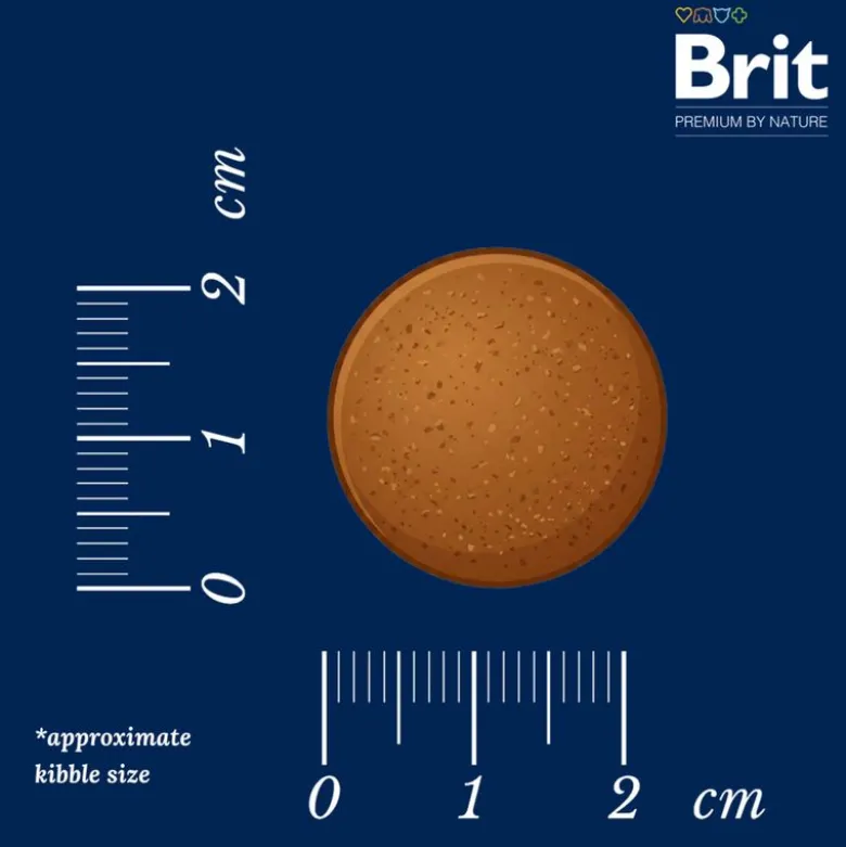 Brit Premium by Nature Adult XL kana