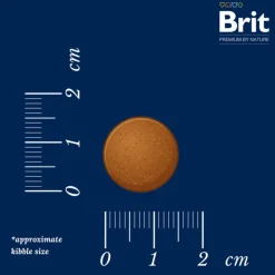 Brit Premium by Nature Junior Large Breed kana