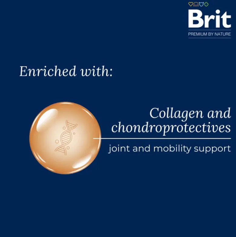 Brit Premium by Nature Senior S/M