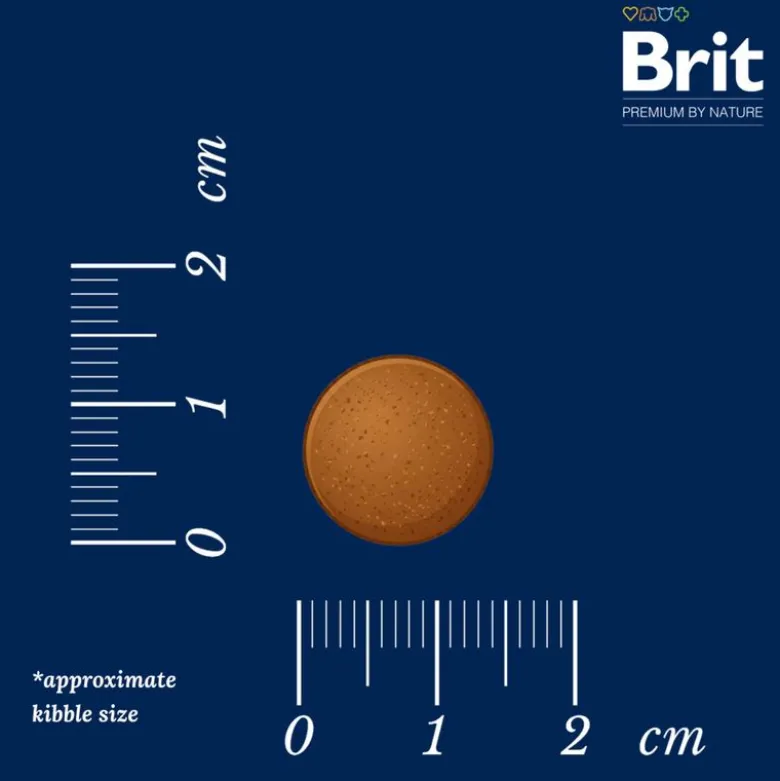 Brit Premium by Nature Senior S/M