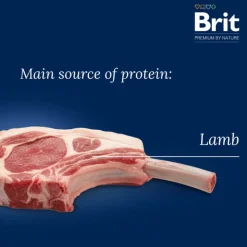 Brit Premium by Nature Sensitive karitsa