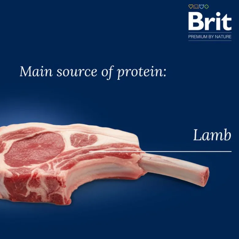Brit Premium by Nature Sensitive karitsa
