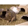 Bunny Bedding Cosy
