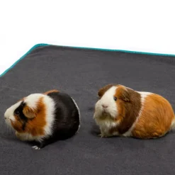 Bunny Bedding Easy