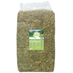 Bunny FreshGrass Heinä