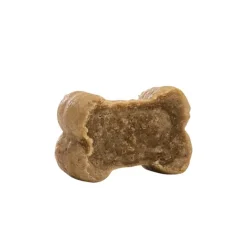 Caniland Dog Bones Insect