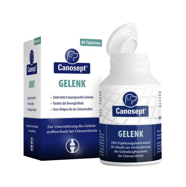 Canosept Gelenk