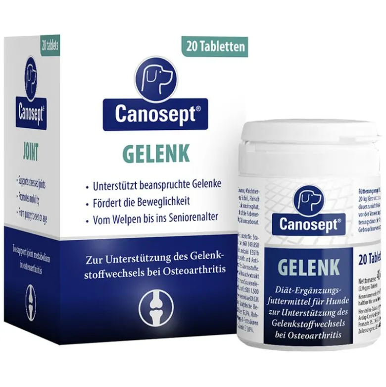 Canosept Gelenk