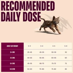 Carnilove Active Kitten lohi ja kalkkuna