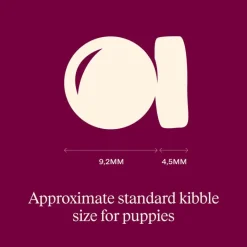 Carnilove Active Puppies lohi & kalkkuna