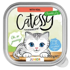 Catessy Junior paloja kastikkeessa – 2 makua sisältävä lajitelma