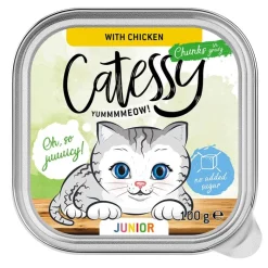 Catessy Junior paloja kastikkeessa – 2 makua sisältävä lajitelma