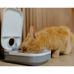 Cat Mate ruokinta-automaatti C100