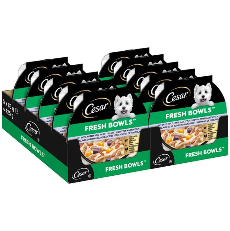 Cesar Fresh Bowls