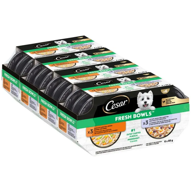 Cesar Fresh Bowls