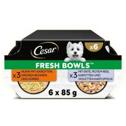 Cesar Fresh Bowls