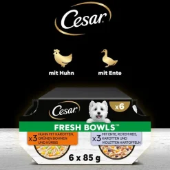 Cesar Fresh Bowls