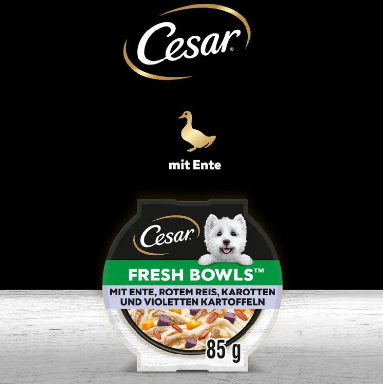 Cesar Fresh Bowls