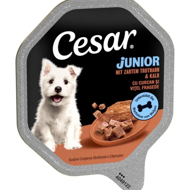 Cesar Junior -rasiat 28 x 150 g