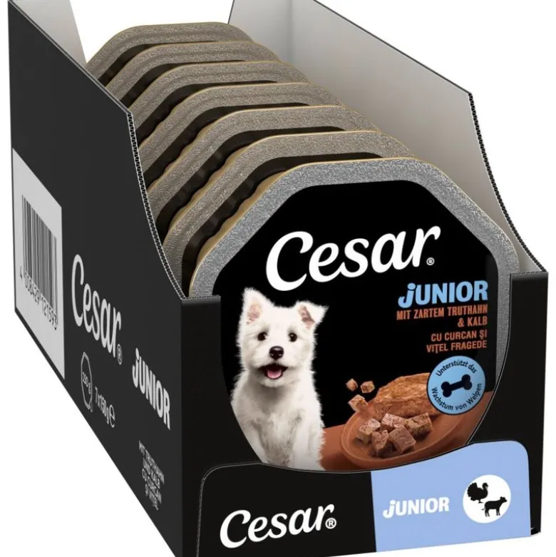 Cesar Junior -rasiat 28 x 150 g