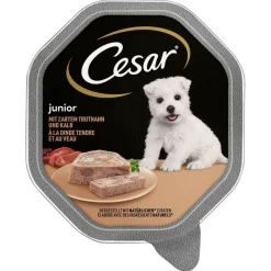 Cesar Junior-rasiat 14 x 150 g