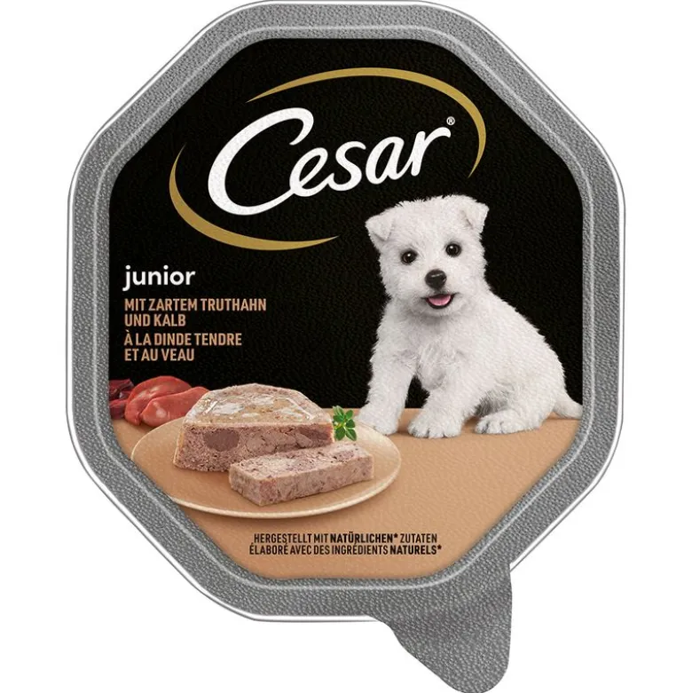 Cesar Junior-rasiat 14 x 150 g