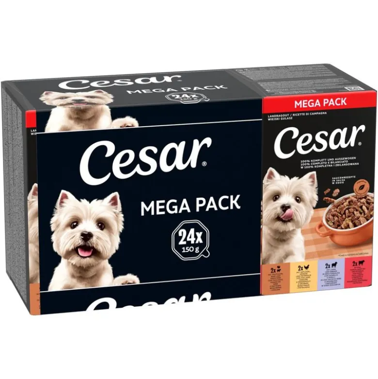 Cesar-koiranruoka 24 x 150 g