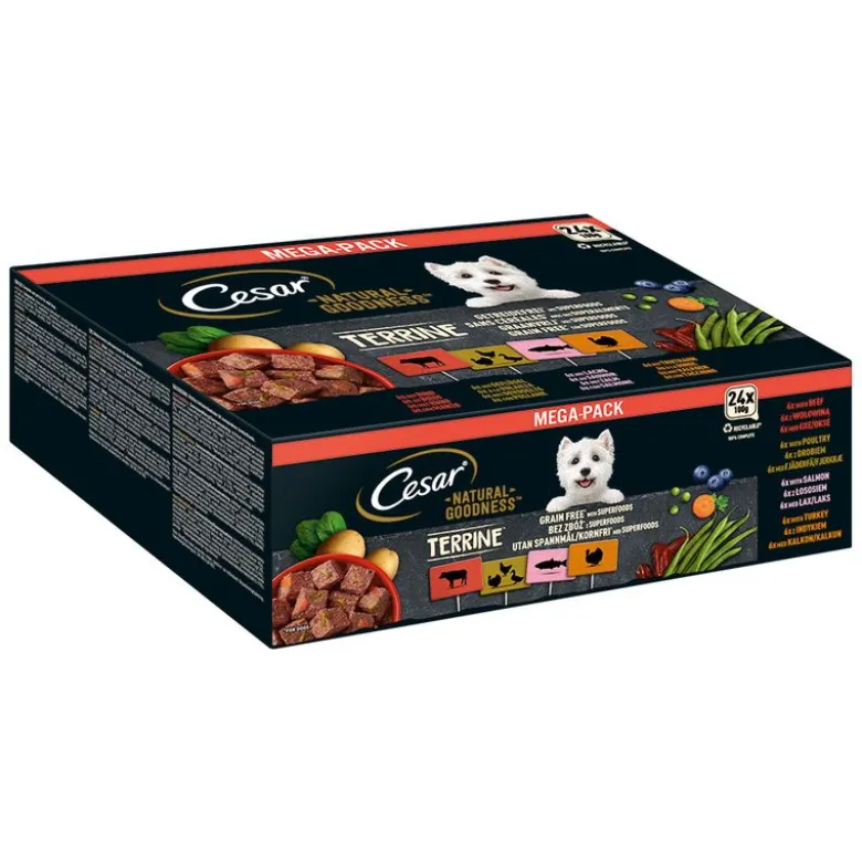 Cesar Natural Goodness Superfoods viljaton 24 x 100 g