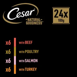 Cesar Natural Goodness Superfoods viljaton 24 x 100 g