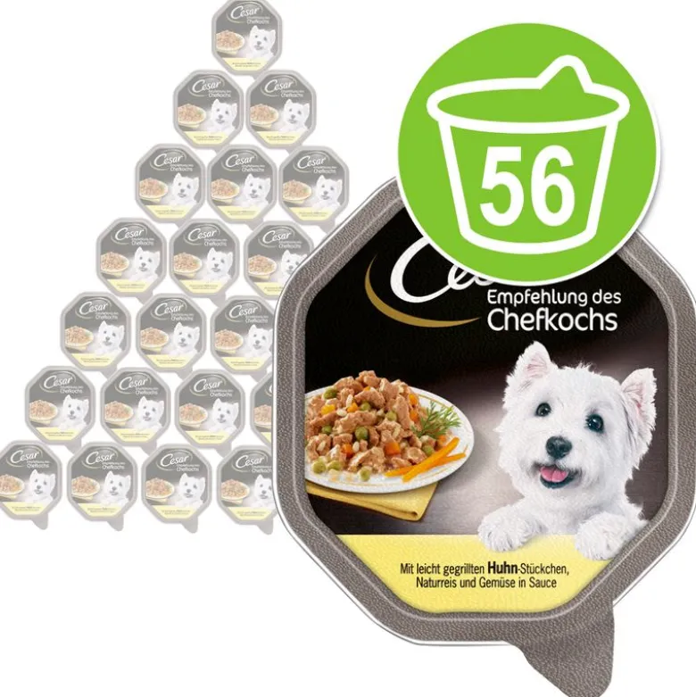 Cesar-rasiat säästöpakkaus 56 x 150 g