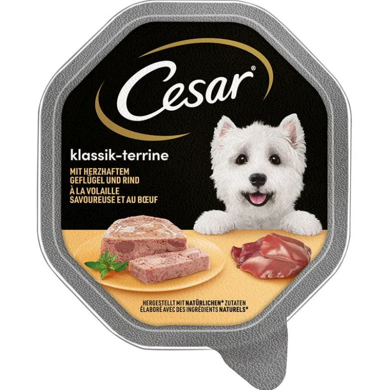 Cesar-rasiat säästöpakkaus 56 x 150 g