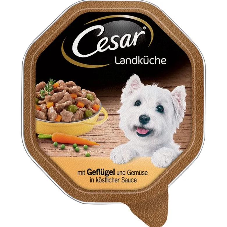 Cesar-rasiat säästöpakkaus 56 x 150 g