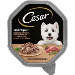 Cesar-rasiat säästöpakkaus 56 x 150 g