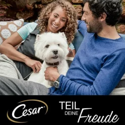 Cesar Senior 10+ -annosrasiat 14 x 150 g