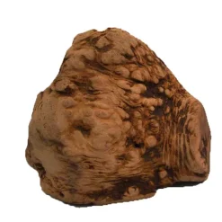 Chewies-purujuuri