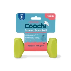 Coachi-harjoittelupaino