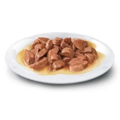 Concept for Life All Cats 10+ - in Gravy