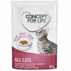 Concept for Life All Cats - in Jelly