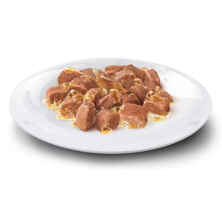 Concept for Life All Cats -kokeilupakkaus 4 x 85 g