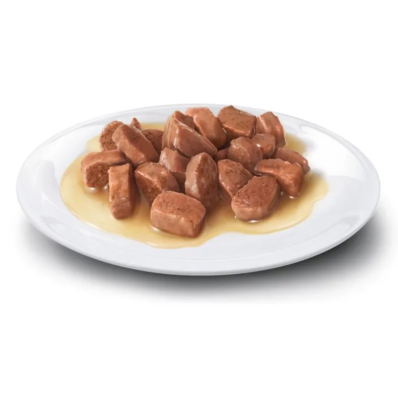Concept for Life All Cats -kokeilupakkaus 4 x 85 g