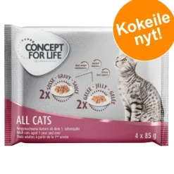 Concept for Life All Cats -kokeilupakkaus 4 x 85 g