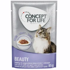 Concept for Life Beauty - in Gravy