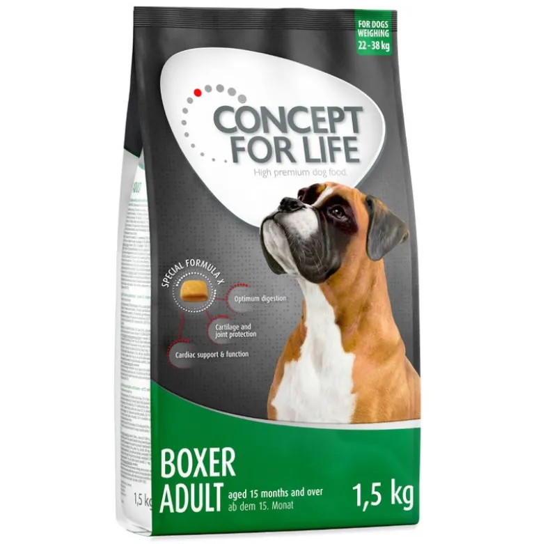 Concept for Life Boxer Adult