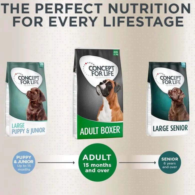 Concept for Life Boxer Adult