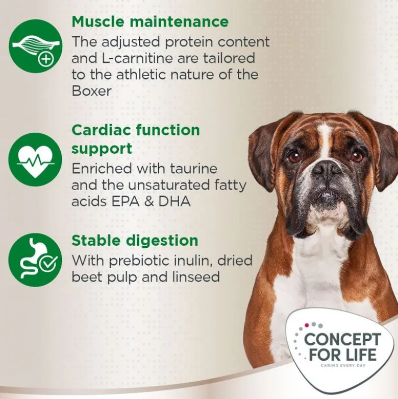 Concept for Life Boxer Adult