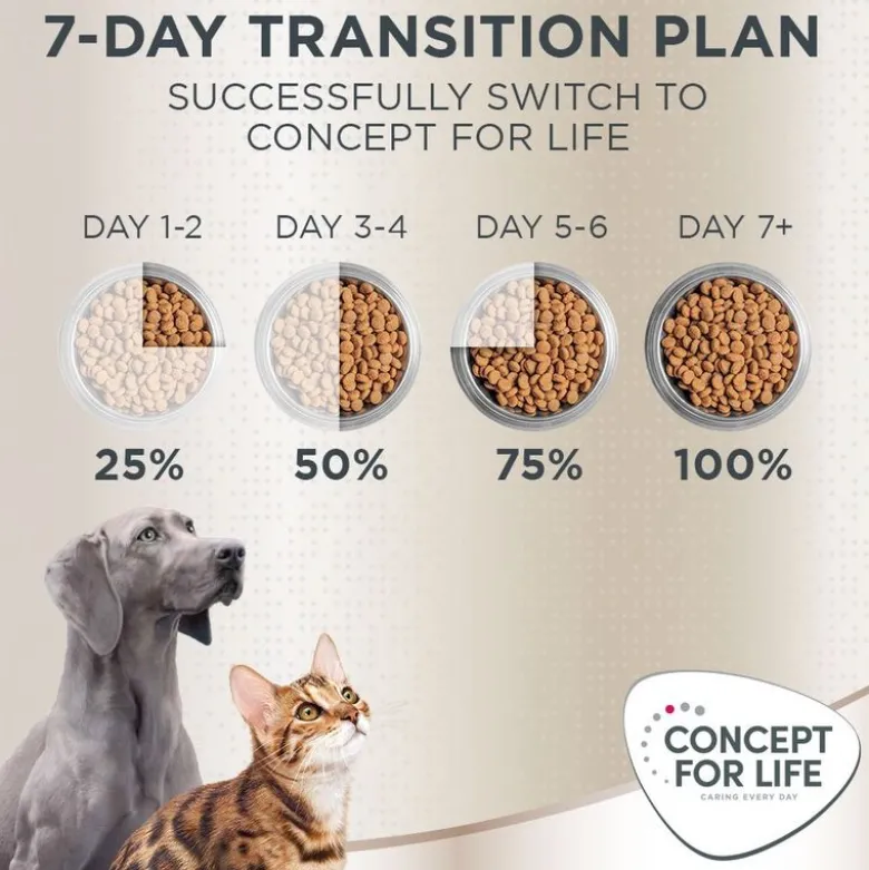 Concept for Life Boxer Adult