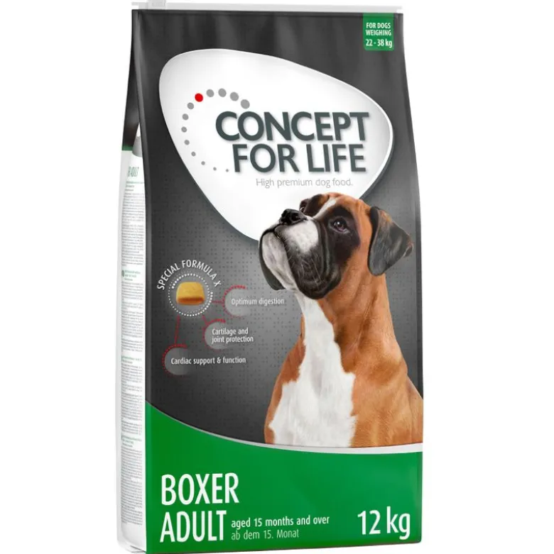 Concept for Life Boxer Adult